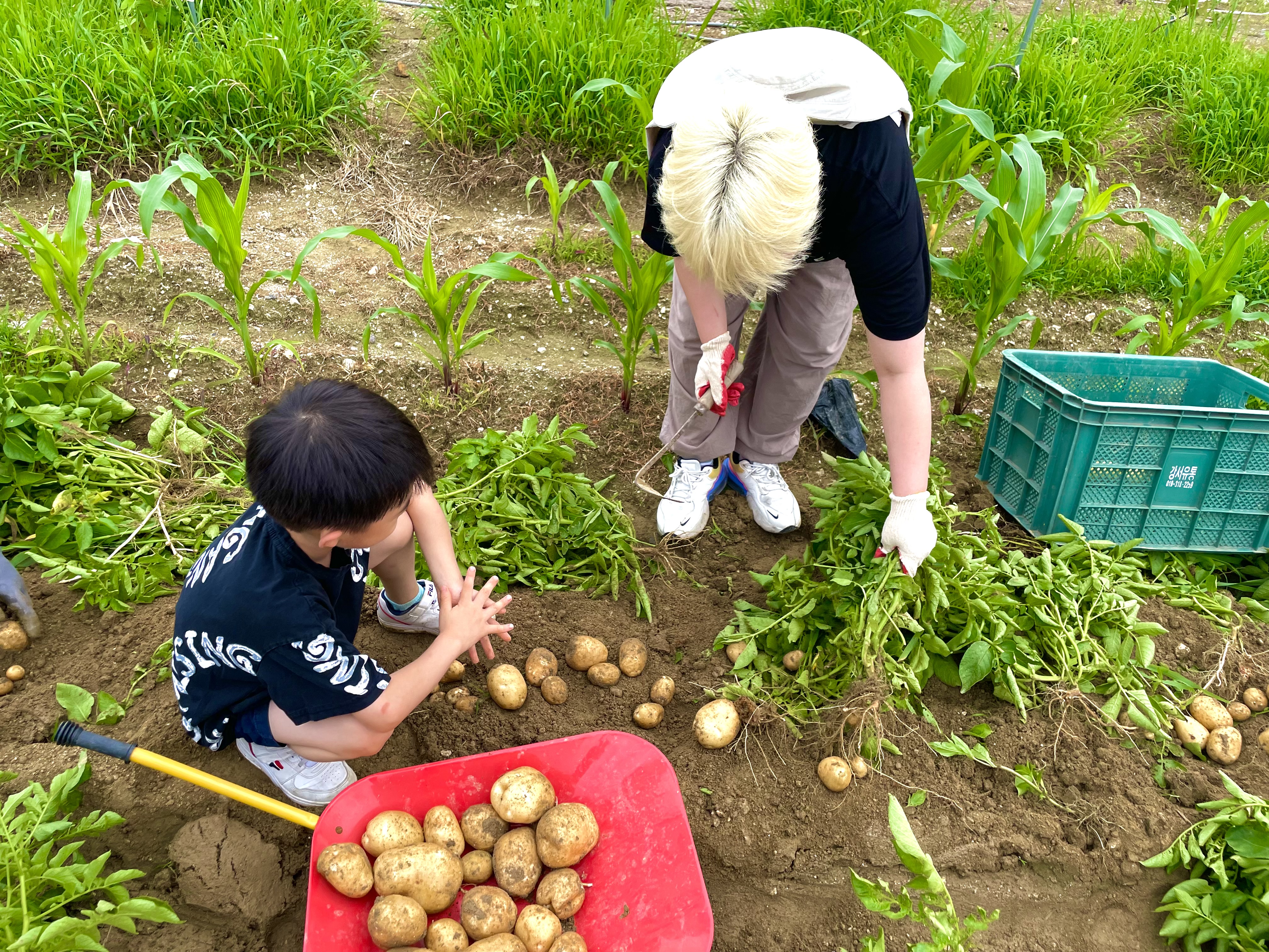 FNC엔터테인먼트 2023 상반기 자원봉사활동